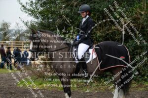 D85_9391.jpg