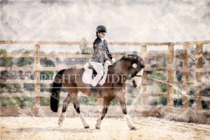 D85_1294-Edit.JPG