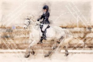 D85_1593-Edit.JPG