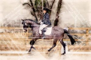 D85_1646-Edit.JPG