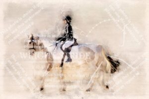 D85_9713-Edit-Edit.JPG
