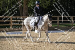 D85_9862.JPG