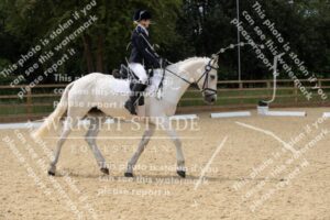 D85_4537.JPG