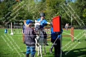 D85_0138.JPG