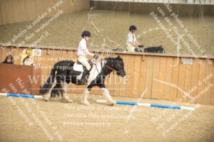 D85_0442.JPG