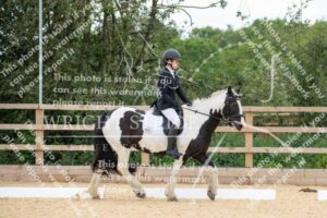 D85_2252.JPG