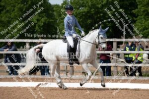 D85_3393.JPG