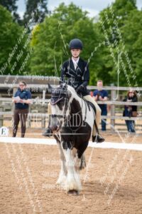 D85_4177.JPG