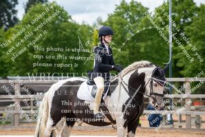 D85_4187.JPG